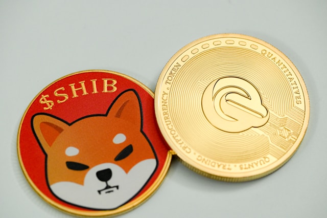 SHIBA coin